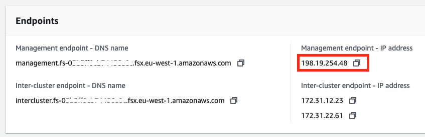 Figure 2 - FSx for ONTAP Console – File system Endpoint IP addresses