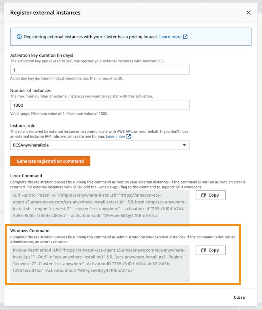 Figure 4: Register external instances console