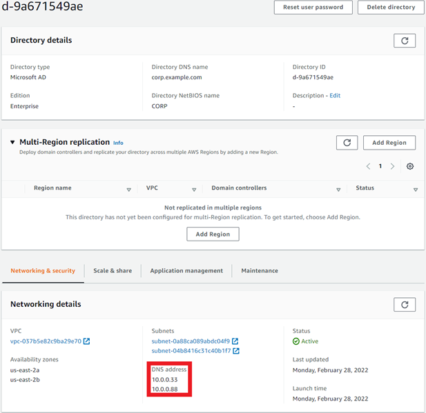 Figure 2: AWS Managed Microsoft AD DNS IPs