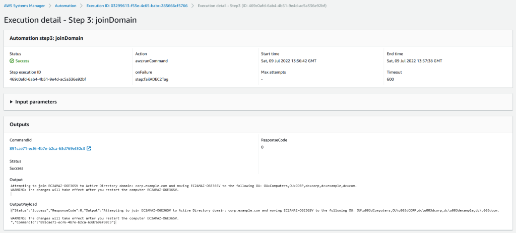 Figure 13: An example of a successful&nbsp;step details and outputs.