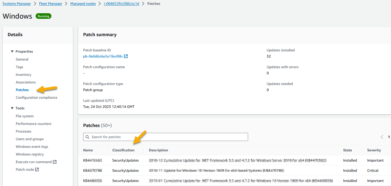 patching execution summary details