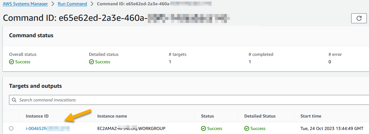 run command execution status details