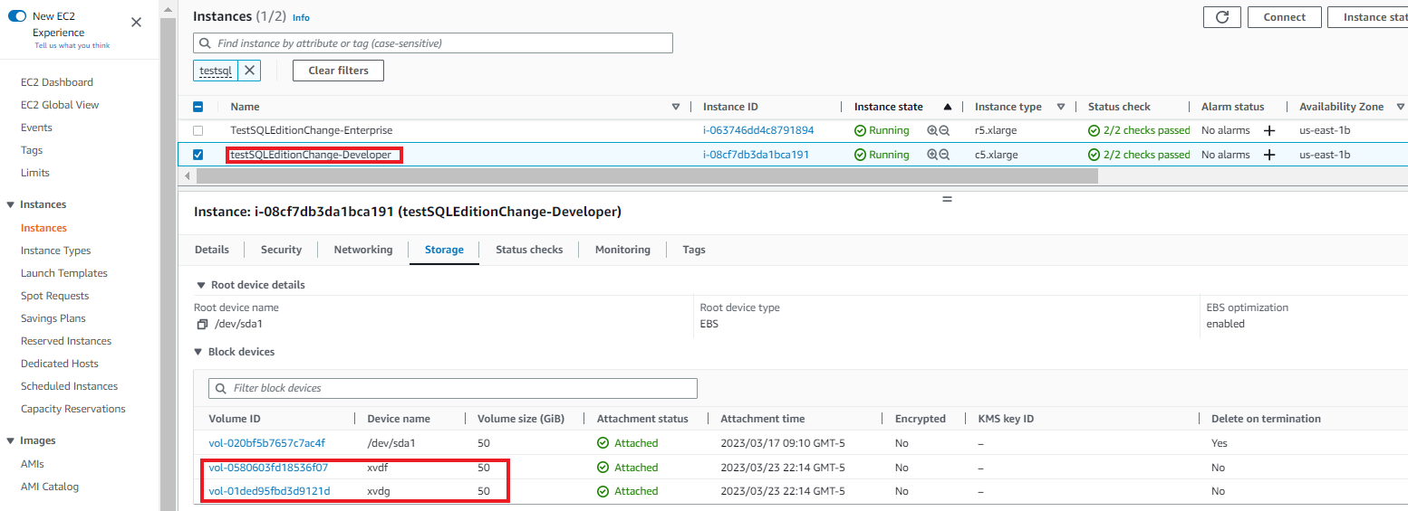 New Amazon EBS volumes attached to target Amazon EC2 instance