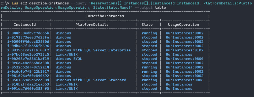 Output of AWS CLI command showing the instanceID,PlaformDetals,UsageOperations, and instance state in a table format
