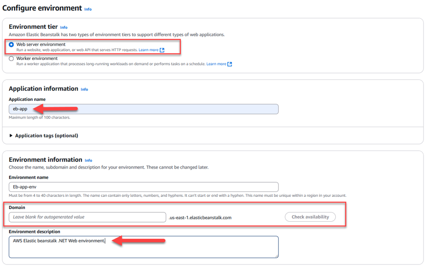 Figure 4 - Amazon Elastic beanstalk application name and domain configuration