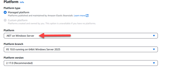 Figure 5 – Elastic Beanstalk Platform details