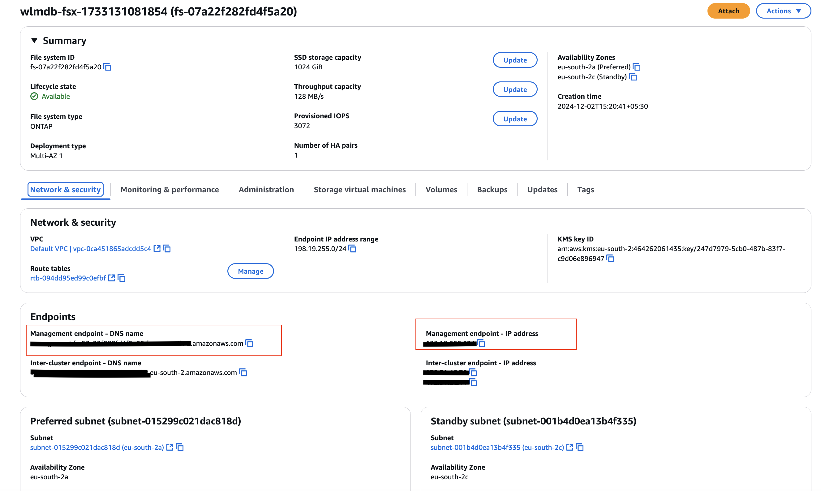 DNS details to connect to FSxN