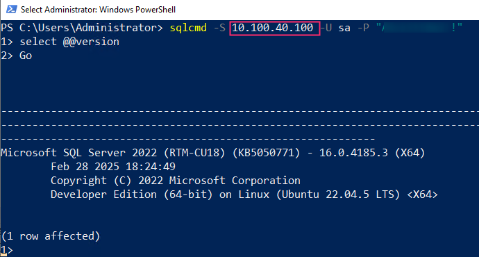 Using sqlcmd to connect to the SQL Server container instance.