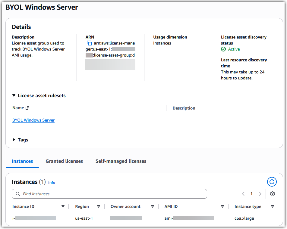 License asset group details created from a custom ruleset.