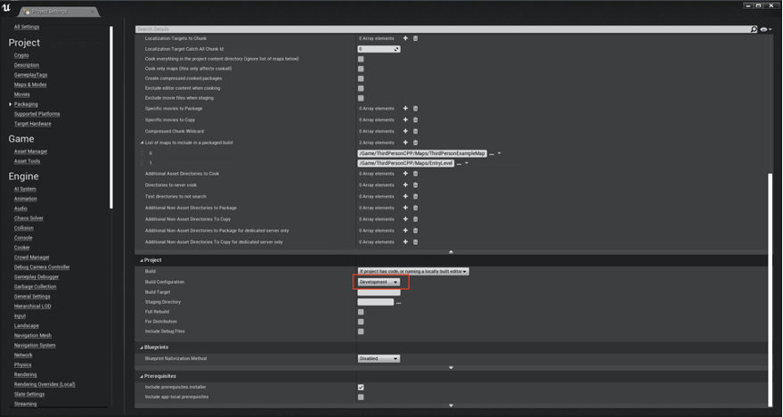 Unreal Editor Project Section