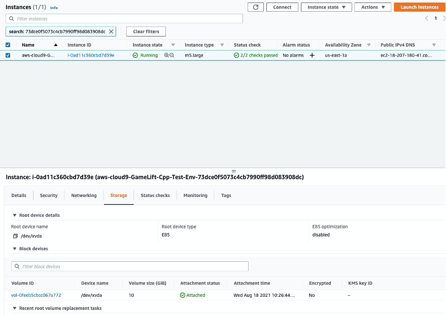 instance details storage tab
