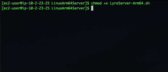 To run the Dedicated Server, we need to add execute permissions to the startup shell script LyraServer-Arm64.sh script. To do this run chmod +x LyraServer-Arm64.sh