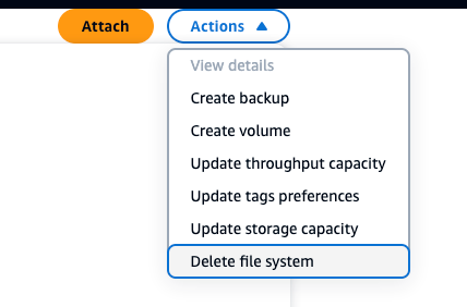 Deleting Filesystem.