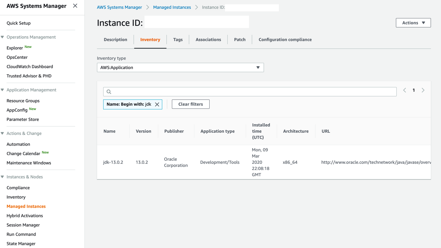 Search results of a specific managed instance when searking on applicatons that begin with the string "jdk".