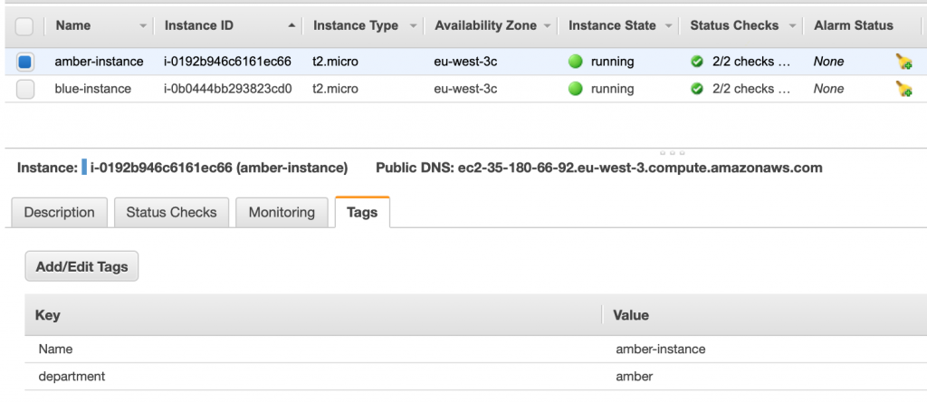 Figure 5: Instance tags on the EC2 console