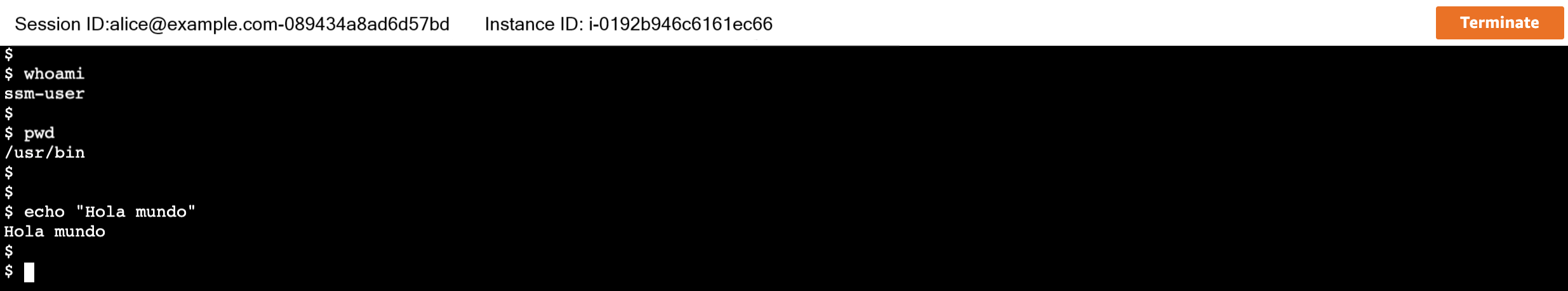 Figure 9: Example of a Session Manager active Session