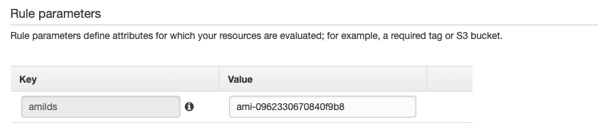 Under Key, amiIds is entered. Under Value, ami-0962330670840f9b8 is entered.