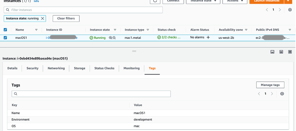 Amazon EC2 macOS instance Tags with OS tag name and mac value.