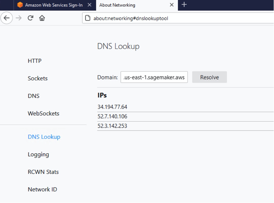 The DNS Lookup page in Firefox includes Sockets, DNS, WebSockets, and other fields.