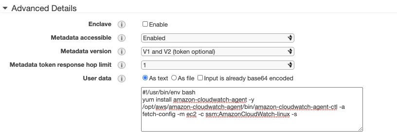 The Advanced Details section provides a field where you can enter the user data script for installing the CloudWatch agent.