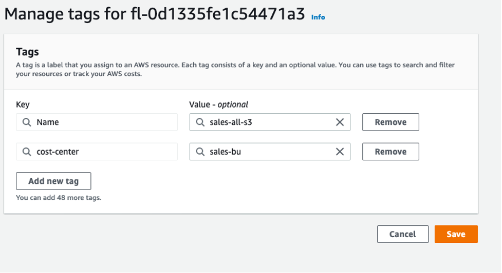In the screen for Manage tags, a tag named cost-center has a value of sales-bu.
