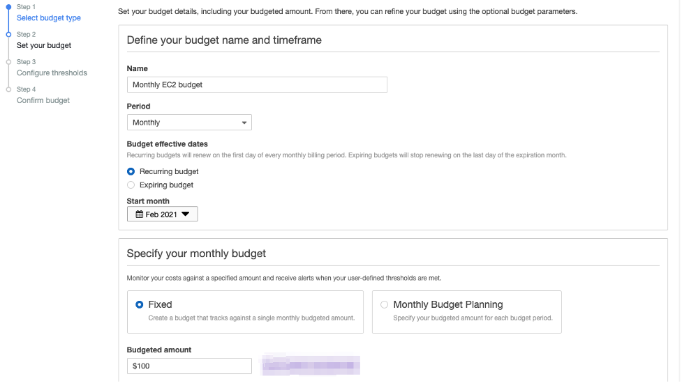 The Set your budget page includes fields for the budget name (in this example, Monthly EC2 budget), period (Monthly), budget effective dates (Recurring budget), start month (Feb 2021), and budgeted amount ($100).