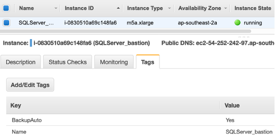 The Tags tab is selected and displays a tag with a key of BackupAuto and a value of Yes.