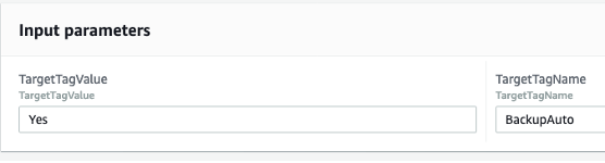In Input parameters, under TargetTagValue, Yes is entered. Under TargetTagName, BackupAuto is entered.