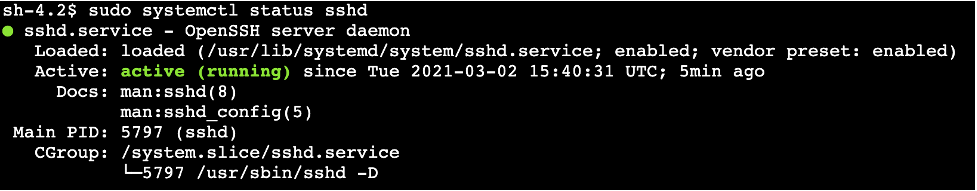 sshd service is running on the instance.