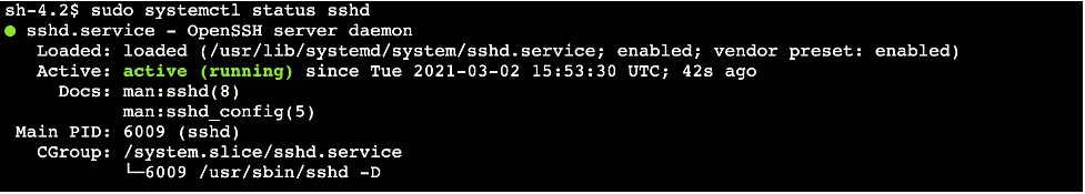 sshd service is running on the instance.