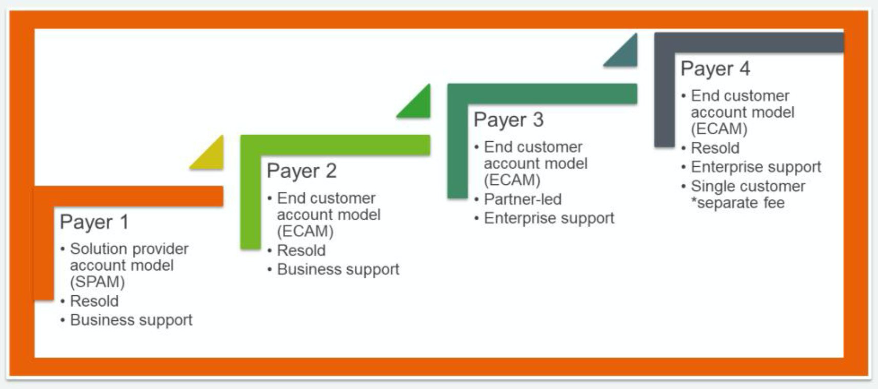 Payer 1 is SPAM with Resold delivery model and Business support. Payer 2 is ECAM with Resold delivery model and Business support. Payer 3 is ECAM with Partner-Led delivery model and Enterprise support. Payer 4 is ECAM with Resold delivery model, Enterprise support, and a single customer.