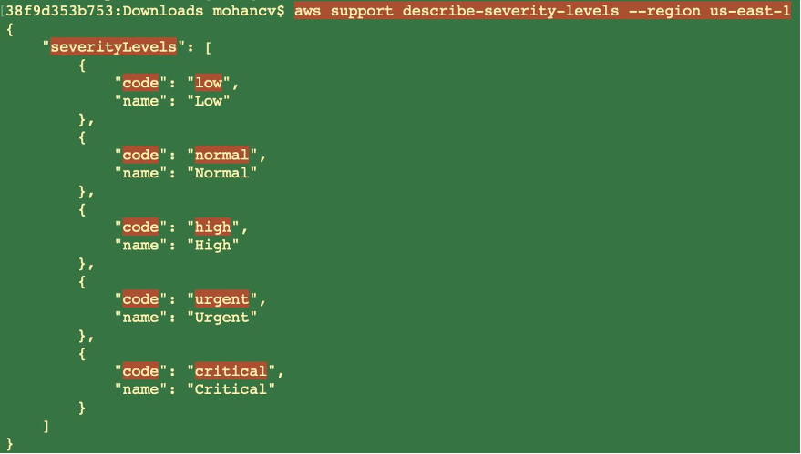aws support describe-severity-levels –region us-east-1 returns severityLevels.