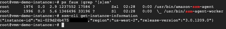 2. The SSM Agent is installed on the instance and activated in the systems account. 