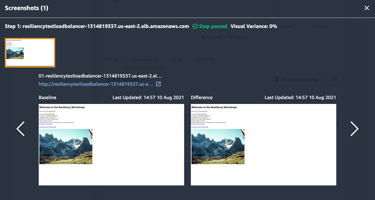 Screenshots tab with Baseline and canary run images side by side. Step status is Step passed with Visual variance of 0%.