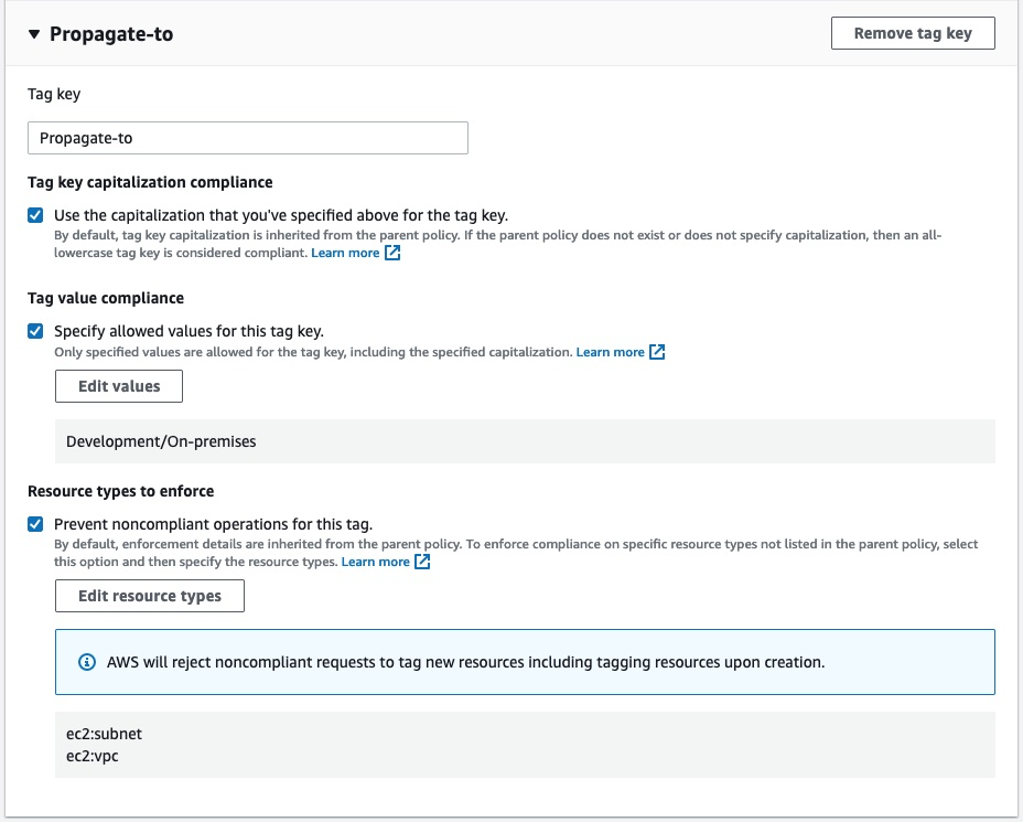 Demonstration of adding the next tag key Propagte-to