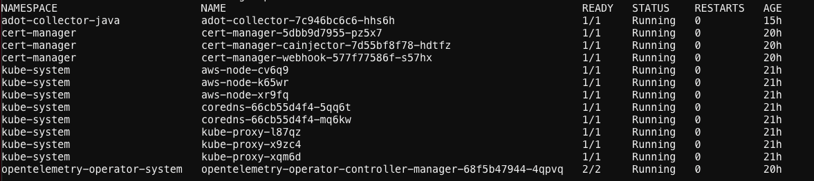 Figure 9 : Verifying the deployments