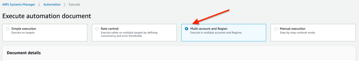 Figure 4: Execution options