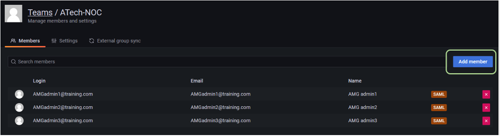 This screenshot illustrates the list of users that are members of a Team