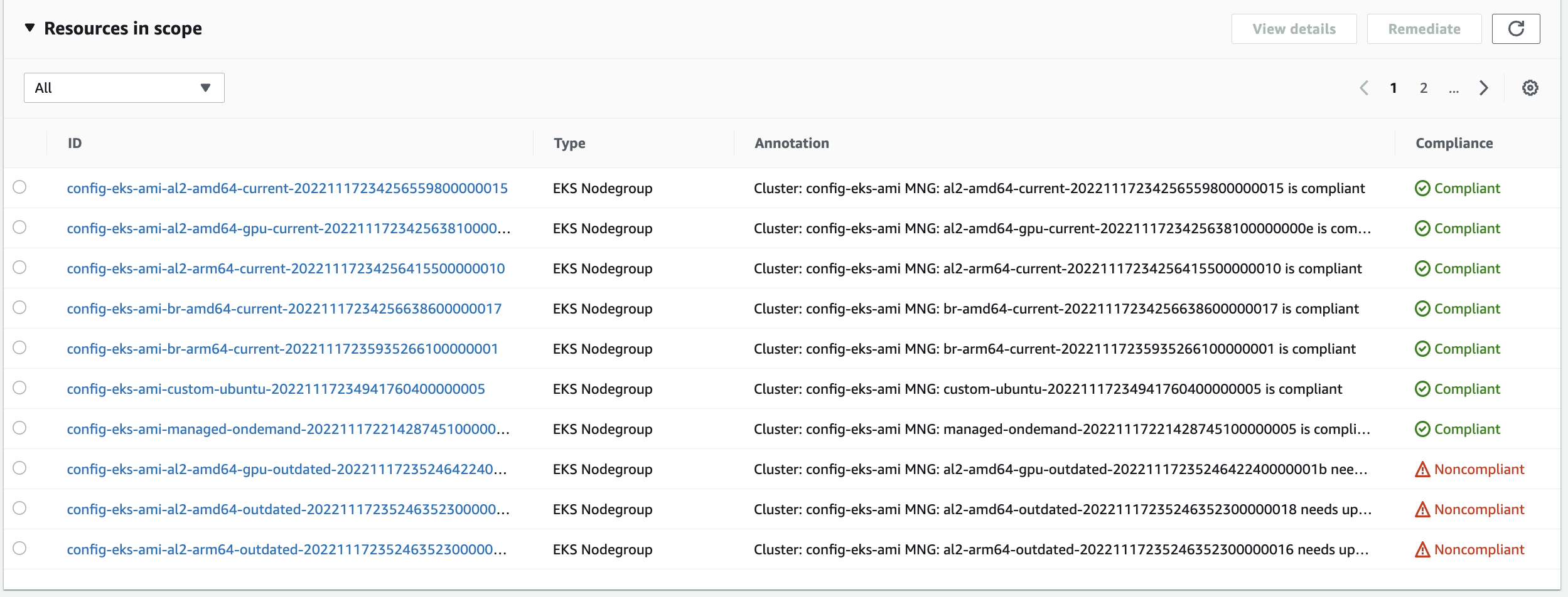 Results provided by custom rule in AWS Config console