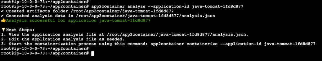 Screenshot when you run App2Container Analyze