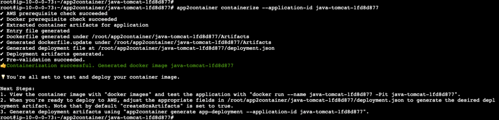 Screenshot when you run containerize command