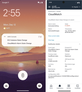 Details screen (with notification details open- Android)