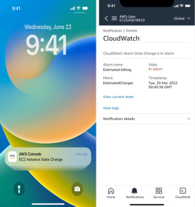 Details screen (with notification details closed- iOS)