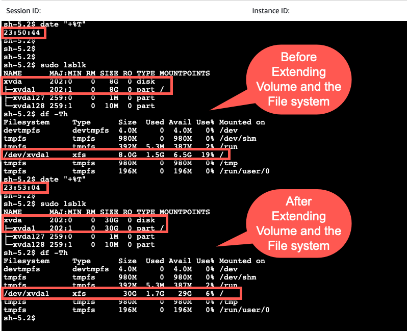 Figure 15-Before and After Extending the Volume and the File System
