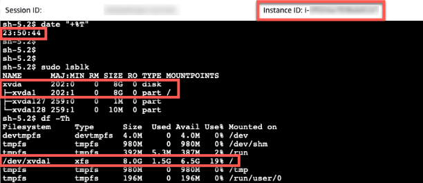 Figure 6-Established Session with EC2 Instance