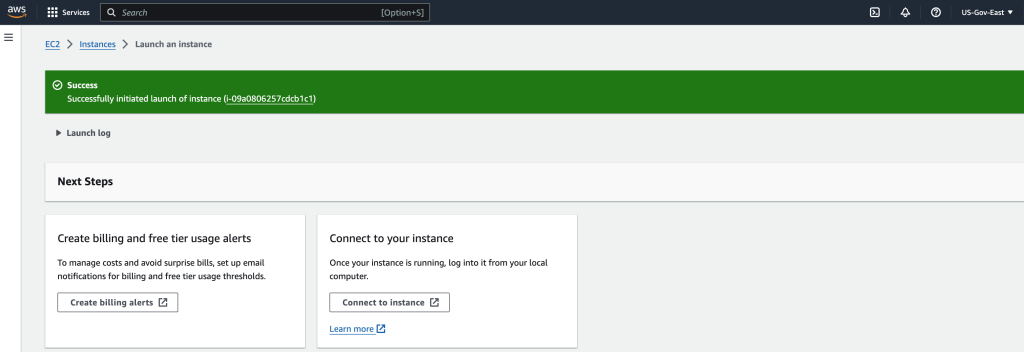 Instance launched successfully