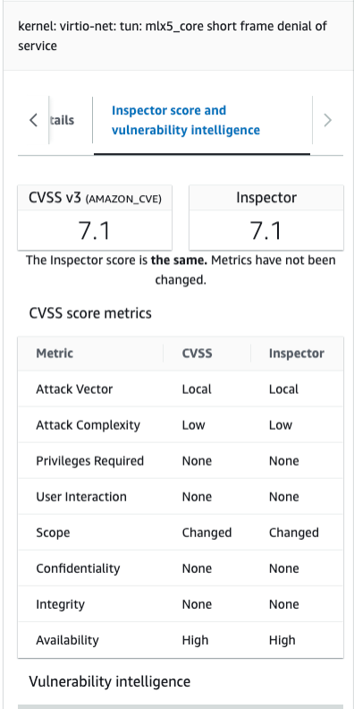 Image 5: Detailed view of Amazon Inspector detected vulnerability