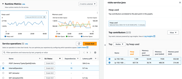 Top Contributors for Application Signals runtime metrics