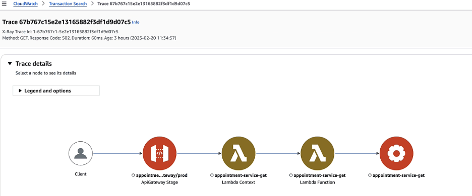 Figure 9. Screenshot of trace details for the faulty lambda