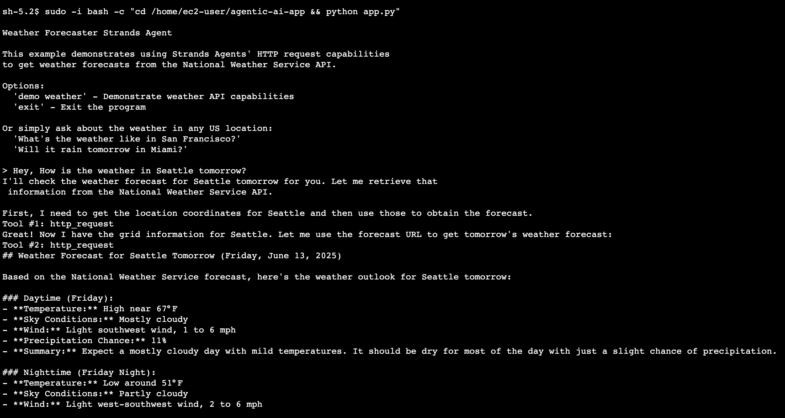 Image showing interacting with weather forecaster agent in EC2 instance